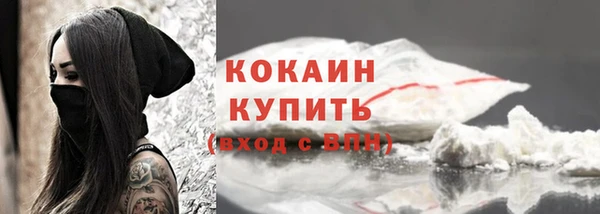 твердый Богородицк