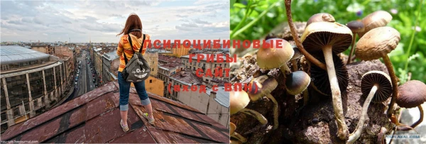 дистиллят марихуана Володарск